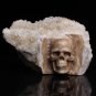Stunning Giant 7" Quartz Druse Carved Crystal Skull Cluster clear sculpture TC12