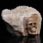 Stunning Giant 7" Quartz Druse Carved Crystal Skull Cluster clear sculpture TC12