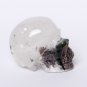2.3" Green Quartz Skull Crystal Gemstone Specimen Reiki Chakra Metaphysical TL4