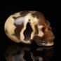 2.7" Natural Agate Crystal Cave skull, Crystal Skull ,Crystal Druse Healing N61