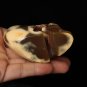 2.7" Natural Agate Crystal Cave skull, Crystal Skull ,Crystal Druse Healing N61