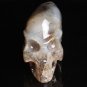 5" Rare Natural Agate Quartz Crystal Skull Skeleton Alien EXTRATERRESTRIAL ET M1