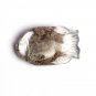 24g Natural Green Phantom Ghost Quartz Crystal Gems Fish Pendant Amulet gift 116