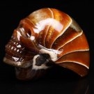 73g Natural Conch AMMONITE Fossil carved skull specimens Madagascar 1 piece H1
