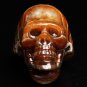 73g Natural Conch AMMONITE Fossil carved skull specimens Madagascar 1 piece H1