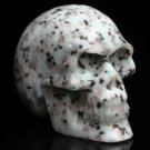 3" Natural Spotted stone Crystal quartz Skull, Realistic reiki Healing GIFT TB1