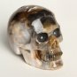 Natural Petrified Fossil Wood Sphere skull crystal reiki healing Laughter TM1