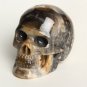 Natural Petrified Fossil Wood Sphere skull crystal reiki healing Laughter TM1