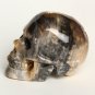 Natural Petrified Fossil Wood Sphere skull crystal reiki healing Laughter TM1