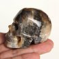 Natural Petrified Fossil Wood Sphere skull crystal reiki healing Laughter TM1