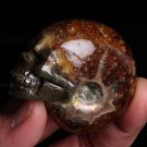 87g Natural conch ammonite fossil hand carved polished quartz crystal skull WH6