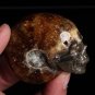 87g Natural conch ammonite fossil hand carved polished quartz crystal skull WH6