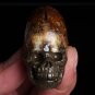 87g Natural conch ammonite fossil hand carved polished quartz crystal skull WH6
