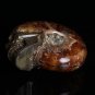 87g Natural conch ammonite fossil hand carved polished quartz crystal skull WH6