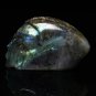 2.6" Natural Beautiful rainbow Labradorite alien Skull  EXTRATERRESTRIAL ET (1s)