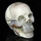 3.1" Beautiful Natural Fossil wood skull,Quartz Crystal Skull,Reiki Healing TM2