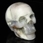3.1" Beautiful Natural Fossil wood skull,Quartz Crystal Skull,Reiki Healing TM2