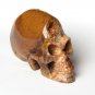 4.2 Inch Natural Ocean Jasper Carved Mayan Alien Crystal Skull, Healing  N22