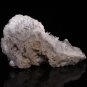 6.8" Rare Natural Crystal Skull Cluster Point Quartz sculpture Collectible TC6