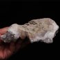 6.8" Rare Natural Crystal Skull Cluster Point Quartz sculpture Collectible TC6