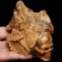 4.6" Natural beautiful Twinkling Star mine Crystal Skull,Crystal Healing TS5