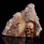 6.6" Amazing Natural Crystal Skull Quartz Cluster Point Druse Reiki Healing TC8