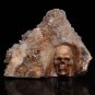 6.6" Amazing Natural Crystal Skull Quartz Cluster Point Druse Reiki Healing TC8