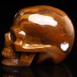 3.4" Gemstone Crazy Lace Agate CRYSTAL SKULL Laughter! Increase Energy! Rare TM3