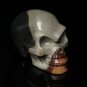 Stunning 2.6" OCEAN JASPER Hand Carved Mayan Alien Crystal Skull Healing YH14