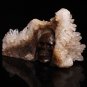 5.5" Natural Clear Quartz Crystal skull Carves Cluster Specimen,Reiki Chakra c11
