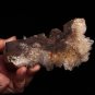 5.5" Natural Clear Quartz Crystal skull Carves Cluster Specimen,Reiki Chakra c11