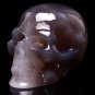 BRAZIL GEODE AGATE Carved Crystal Skull Skeleton, Realistic,Crystal Healing TM17