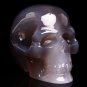 BRAZIL GEODE AGATE Carved Crystal Skull Skeleton, Realistic,Crystal Healing TM17