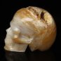 2.9" Natural reality of the alien agate crystal skull cave pure hand-carved DT10