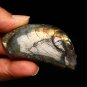 2.7" Natural Amazing Beautiful Labradorite alien Skull, Crystal Skull statue 23