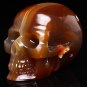 3.1" Gemstone Crazy Lace Agate CRYSTAL SKULL Laughter! Increase Energy! TM15