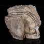 Crystal Skull TC7