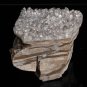 Crystal Skull TC7