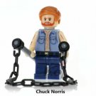 Chuck Norris Custom minifigure action movie building toy figure