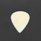 Wicked Earth Buffalo Bone Flat Guitar Pick