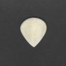 Wicked Earth Guitar Pick