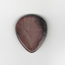 Wicked Earth Petrified Wood Stone Guitar Pick