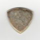 Shell Guitar Picks
