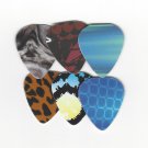 Wicked Earth Punch Out Picks Guitar Pick