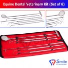 SD0363 Smile England Equine Dental Mirror Scaler Probe Explorer Veterinary Kit / Set SS