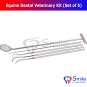 SD0362 Smile England Equine Dental Mirror Scaler Probe Explorer Veterinary Kit / Set UK