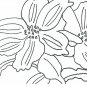 More flowers