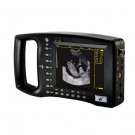 Animal pregnancy ultrasound scanner for horse,cattle,sheep