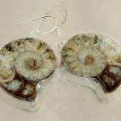 Large Ammonite Fossil Sterling Silver Dangle Earrings