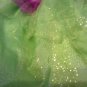 Tinkerbell Costume Disney Fairies dress Size XS 3T - 4T girls green